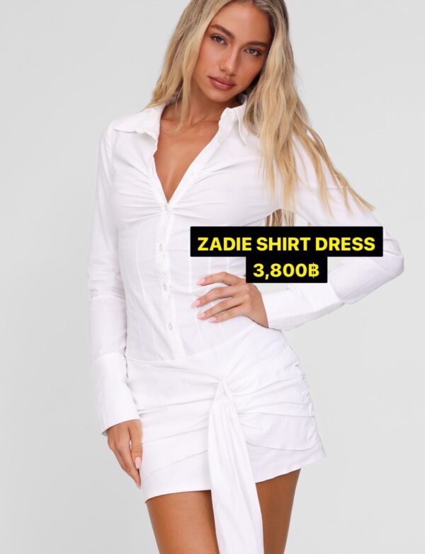ZADIE SHIRT DRESS - Image 5